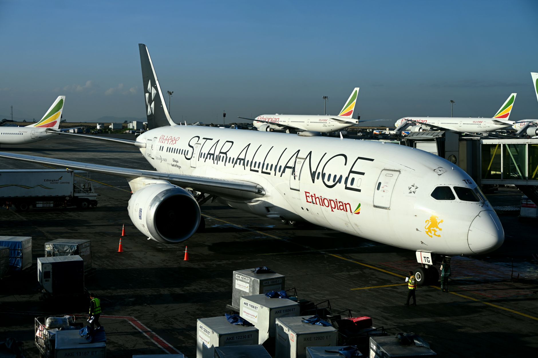 Airline Alliances Explained: The Secret Club Behind Your Flight